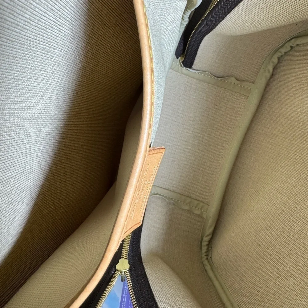Louis Vuitton elegant louis